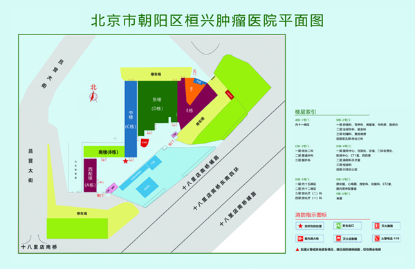 好紧好湿骚逼快干我啊视频网站北京市朝阳区桓兴肿瘤医院平面图